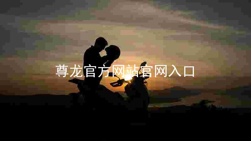 尊龙官方网站官网入口
