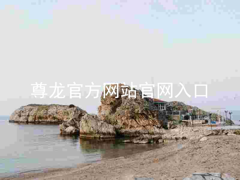 尊龙官方网站官网入口