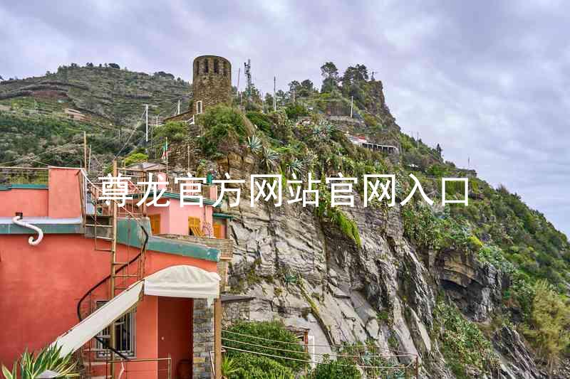 尊龙官方网站官网入口