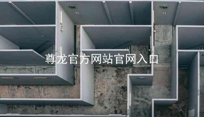尊龙官方网站官网入口